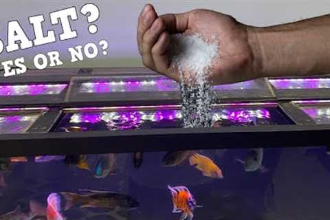 Do You Need Salt In Your Aquarium? Pros and Cons