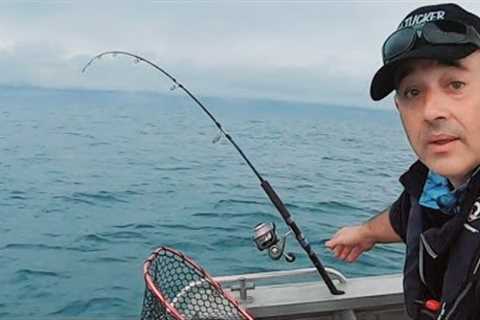 Fishing after the Storm for Food Vege Patch Update