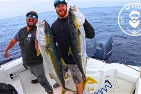 Yellowtail Fishing San Diego | First offshore kelp paddy fish of the 2024 season!