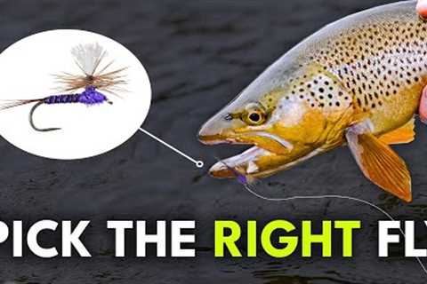 How To ALWAYS Pick the Right Fly Fishing Flies | Ep. 80