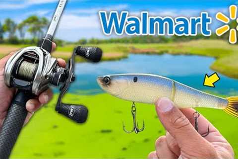Walmart Big Swimbait Fishing Challenge