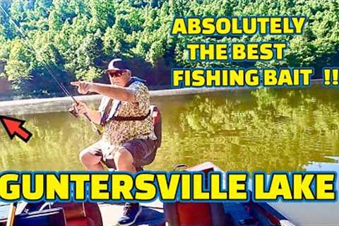 A fishing BAIT that CATCHES 10x more FISH than ARTIFICIAL FISHING LURES !!