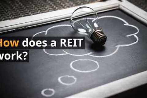REITs 101: A Beginner's Guide to Real Estate Investment Trusts