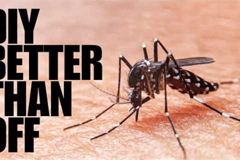 DIY ALL NATURAL Mosquito, Gnat And Tick Repellent | Smells Great, Last All Day