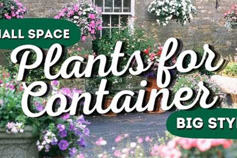 Small Space, Big Style: The 7 Best Container Garden Flowers 🌸🌼✨