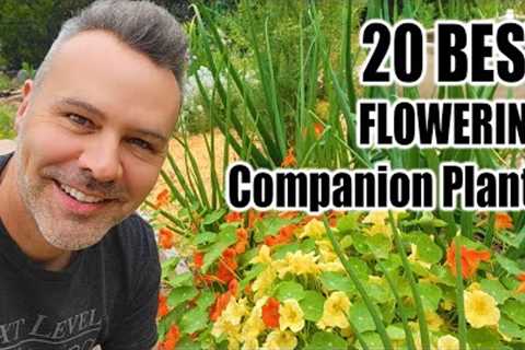 Best Companion Planting Flowers for the Vegetable Garden