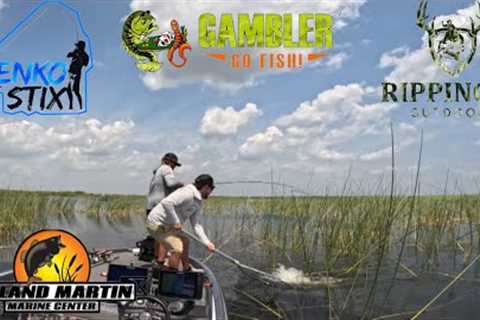 Giant Bass Love a Flippin Jig | Shallow Water Bass Fishing | Lake Okeechobee