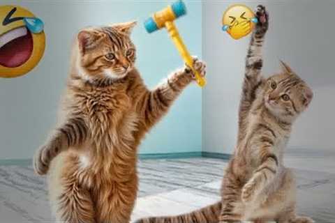 Try Not To Laugh Challenge😁Funny and Cute CAT Videos Compilation 2024😪🐶