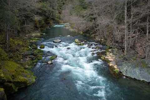 Why do people call this the Holy Water of fly fishing?