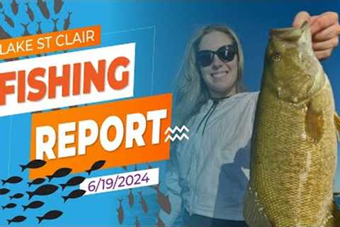 The Lake St. Clair Fishing Report 6/19/2024