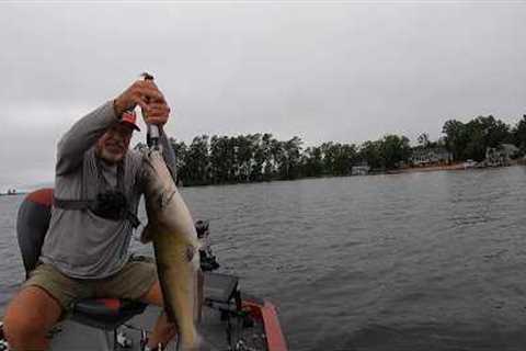 Big Catfish Casting Trying Different Baits, Lake Murray