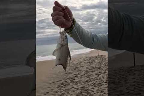 Finding Beach Fishing Spots The EASY Way