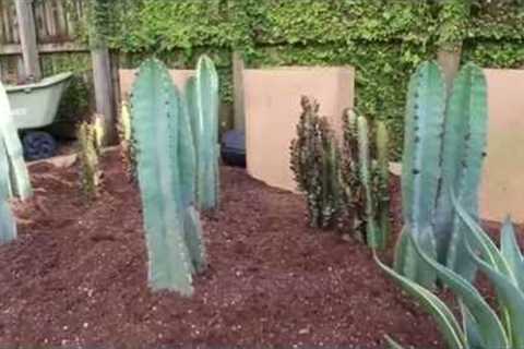 Desert Escape Garden Design Tips