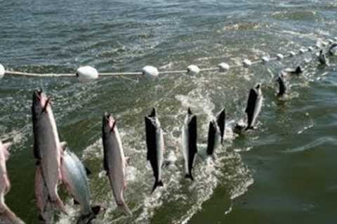 Everyone should watch this Fishermen's video - Amazing Automatic Net Fishing Line Catching Big Fish