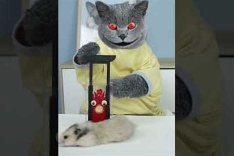 What Horrors Unfold When Magic’s Secret Is Exposed?😱 #funnycat #prank #magic