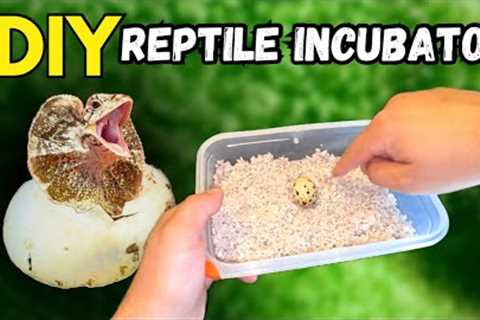How to Make a DIY REPTILE INCUBATOR! (TUTORIAL!)