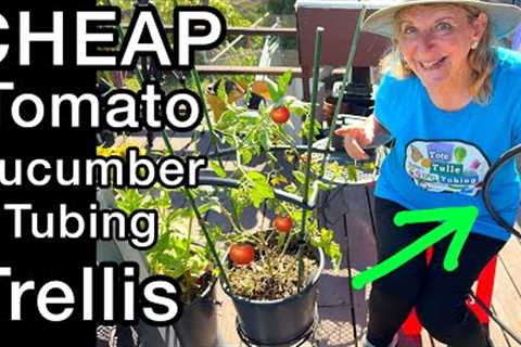 Easiest Trellis Setup for Tomatoes Cucumber Watermelon Peppers Vertical Gardening &amp; Protect..