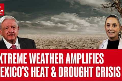 Mexico Stares At Food Shortage &amp; Price Rise; Drought Impacts 81% Of The North America Country