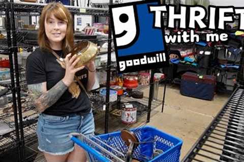 Goodwill THRIFT With Me | Reselling | Crazy Lamp Lady