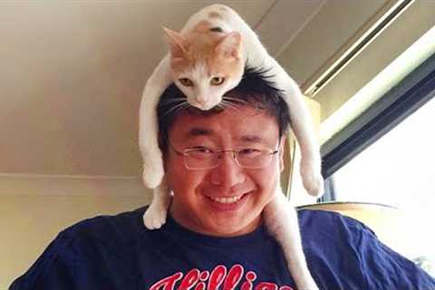 When a cat enters your life 🤣 Funny Cat Videos of 2024
