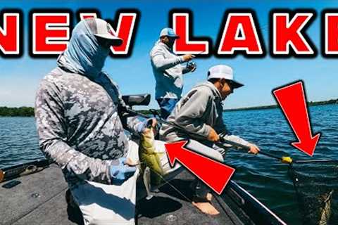 Power Fishing VS Finesse Fishing: Finding Bass In A New Lake!