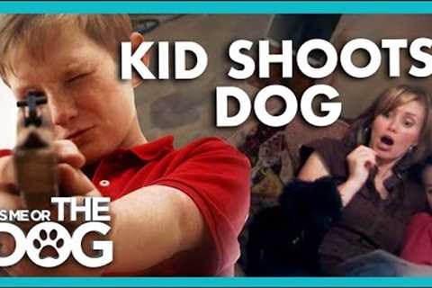 Mischievous Kid Taught to SHOOT Nervous Dog?! | It's Me or the Dog