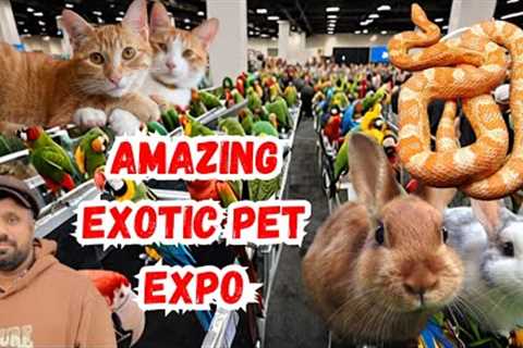 Touring the Craziest Exotic Pets Expo EVER!