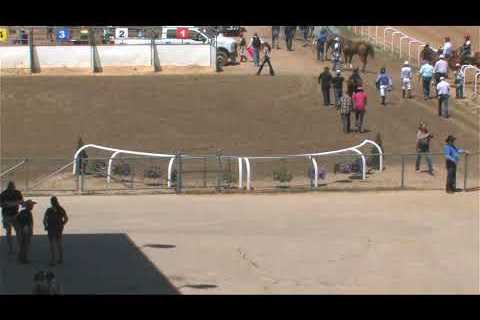 307 Horse Racing, Energy Downs, June 23 2024, Race 2 (250 Yards)