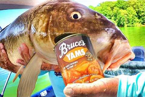 Easy Way To Catch Loads Of Carp! (They Simply Can't Resist This Bait!)