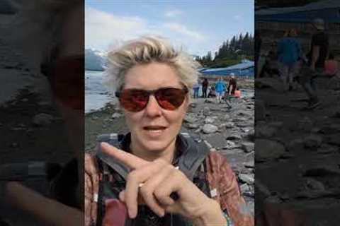 So much Salmon in Alaska! #fish #alaska #travelvlog