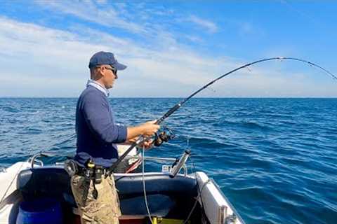 Shark Fishing UK - Deep Sea Fishing for Sharks - Everything you need to know | The Fish Locker