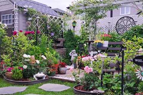 Tiny Backyard Garden Tour Plants and Flowers  #garden #gardening #gardentour #plants #flowers #new