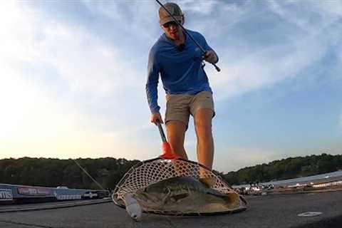 23lb Bag of Spotted Bass on GLIDE BAITS! - LAKE LANIER MAGNUMS