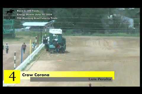 307 Horse Racing, Energy Downs, June 15 2024, Race 3 (300 Yards)