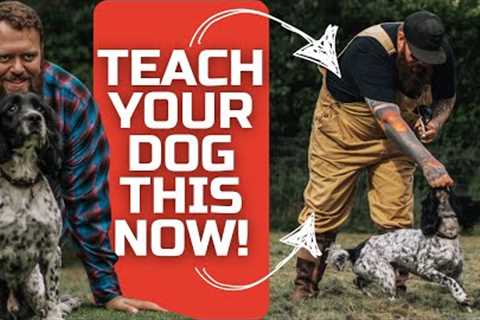 TOP THINGS YOU MUST TEACH YOUR DOG