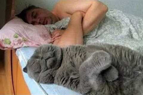 Some Cats Are Born To Be Your Best Twins! Funny Cat and Human Video 🐾