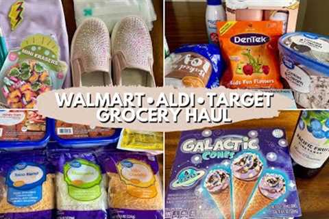 MULTISTORE GROCERY HAUL + WEEKLY MEAL PLAN