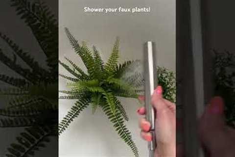 Time saving cleaning hack: How to easily clean faux plants 🪴