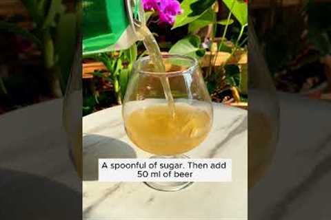 Watering formula for aging plants  #garden #gardening #plants
