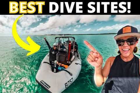 Scuba Diving Bonaire | DO NOT MISS THIS DIVE 🤿