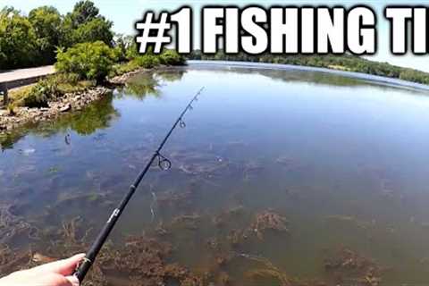 The Best Fishing Tip for Beginners!