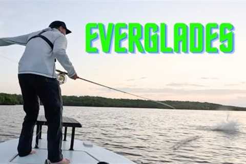 My BIGGEST Fish This YEAR - Everglades Fly Fishing