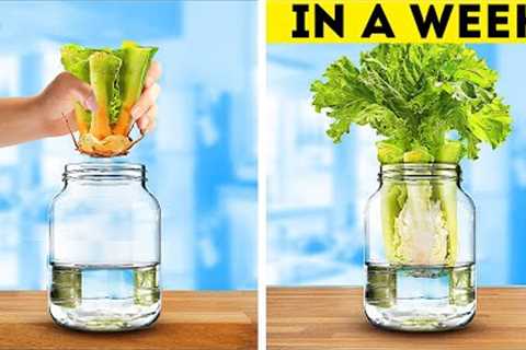 Gardening Hacks: Indoor Planting Tips 🌱