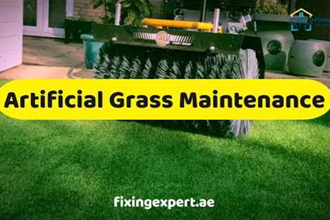 Artificial Grass Maintenance: Complete Guide with Pros &amp; Cons