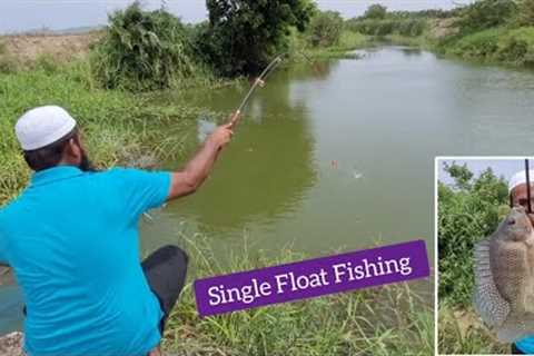 Mastering The Art Single Float Fishing in the BIG SIze Tilapiafishes and Baamfish catfish fishing