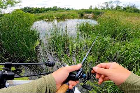 FISHING FRENZY: Big Bass and Walleye in Shallow Waters!