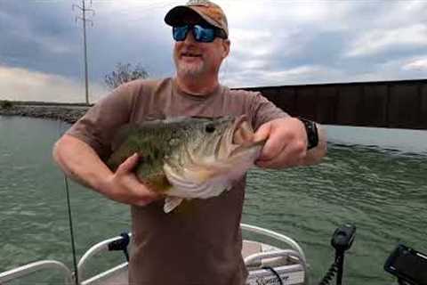 Cayuga Lake Bass Fishing Largest bass in 19 years over 8lbs!