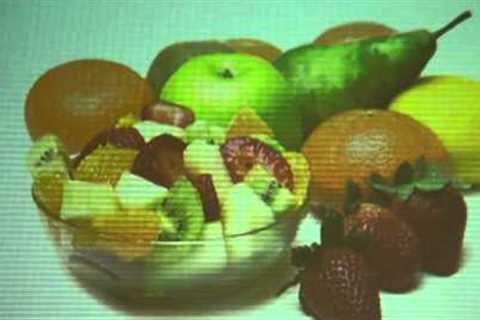 Dr. Michael Klaper, Digestion Made Easy: Journey thru Your Amazing Digestive System