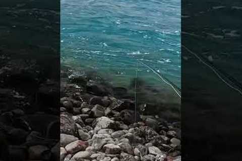 Dry Fly rejection or was I to slow?