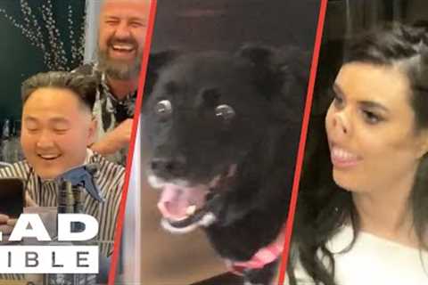 The Funniest Videos On The Internet | LADbible Viral |